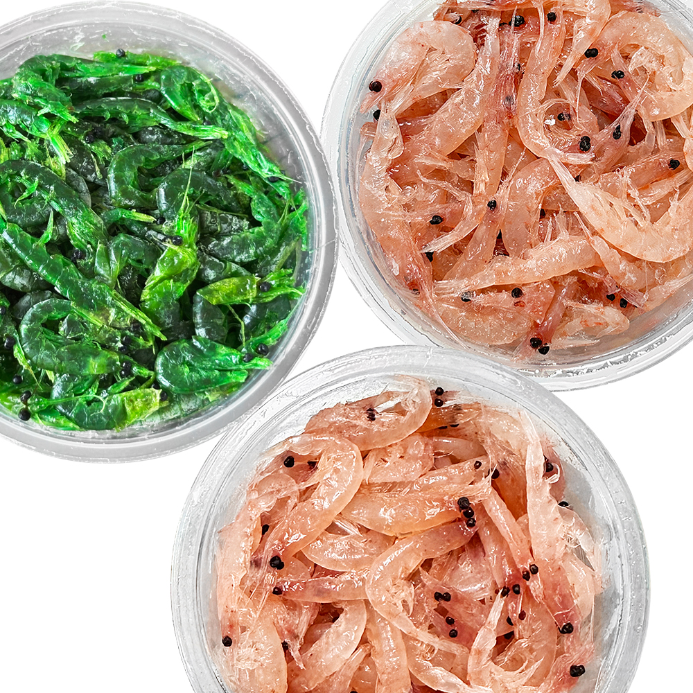 조선 벵에돔 원통 각크릴 3종 염색 파래새우 새우미끼