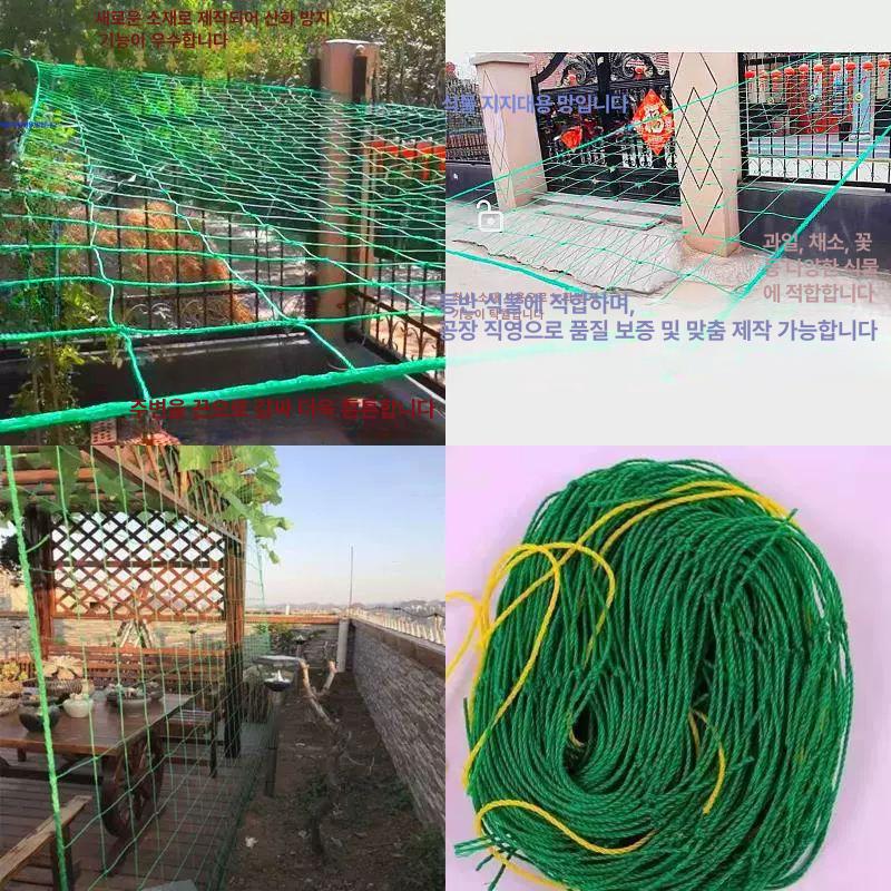 국화 호박 오이망 과수원 농자재 넝쿨 줄기망 사방포장90줄끈 1m 폭 1m 길이 - 상세 이미지 5