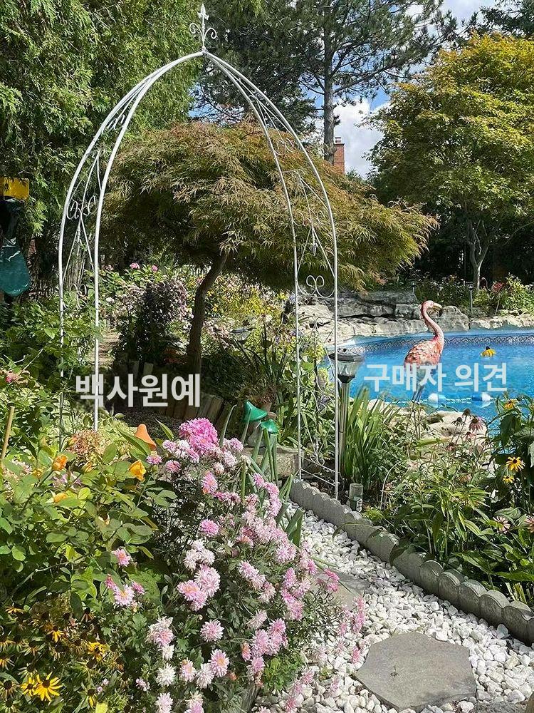 장미 넝쿨 장미아치 프레임 울타리정원 화단 식물 철제 화이트 대형 - 상세 이미지 2
