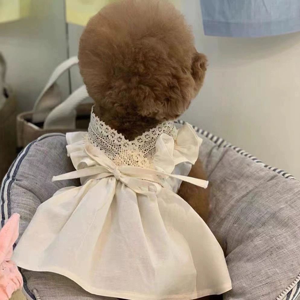강아지 드레스 원피스 레이스 면 봄 여름 애견옷 프릴 레이스 스커트 xs 0.5~1kg - 상세 이미지 2