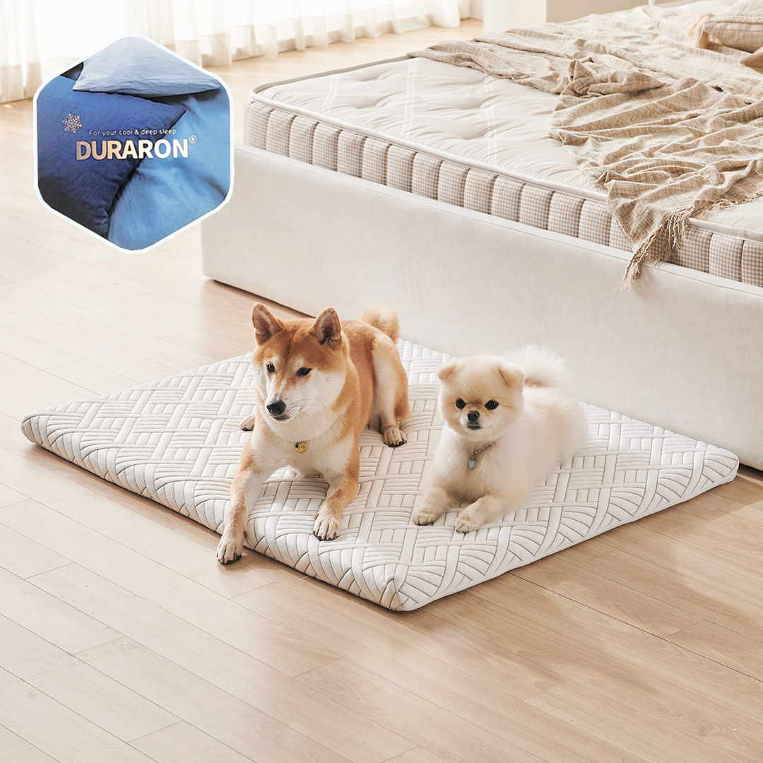 꽁떼떼 강아지 메모리폼 매트리스 쿠션 중대형견 침대 듀라론/화이트, M사이즈
