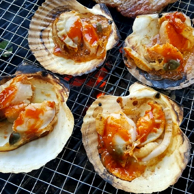 바베큐용 큰 조개 대왕 참가리비 1kg - 상세 이미지 3