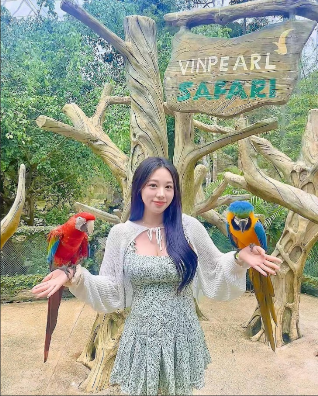 푸꾸옥 북부 사파리 남부 혼똔섬 얼리모닝투어 마사지 픽업 샌딩 포함