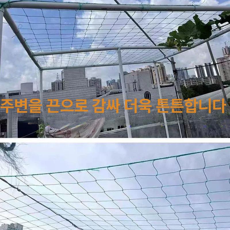 국화 호박 오이망 과수원 농자재 넝쿨 줄기망 사방포장90줄끈 1m 폭 1m 길이 - 상세 이미지 3