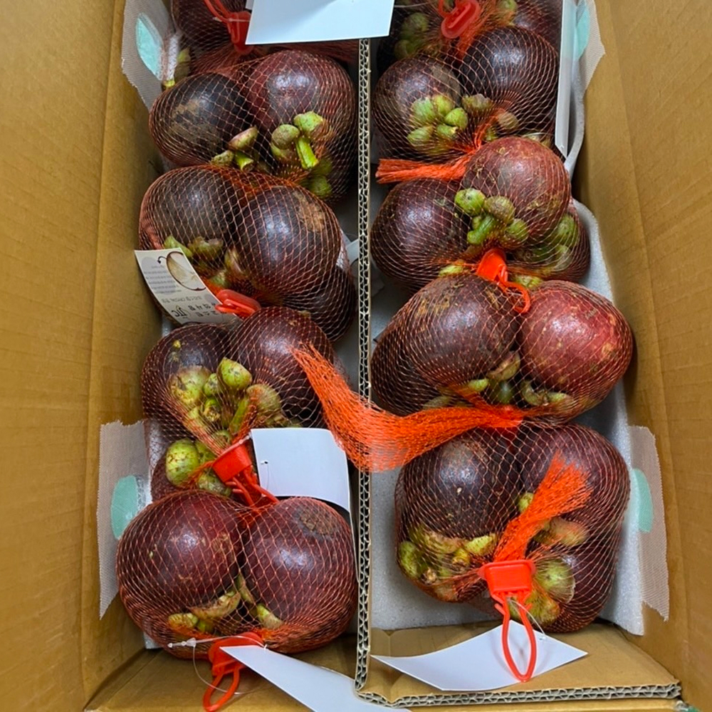 [금서율네] 생 망고스틴 생과 태국 나트랑 500g 1kg 2kg 5kg - 상세 이미지 5