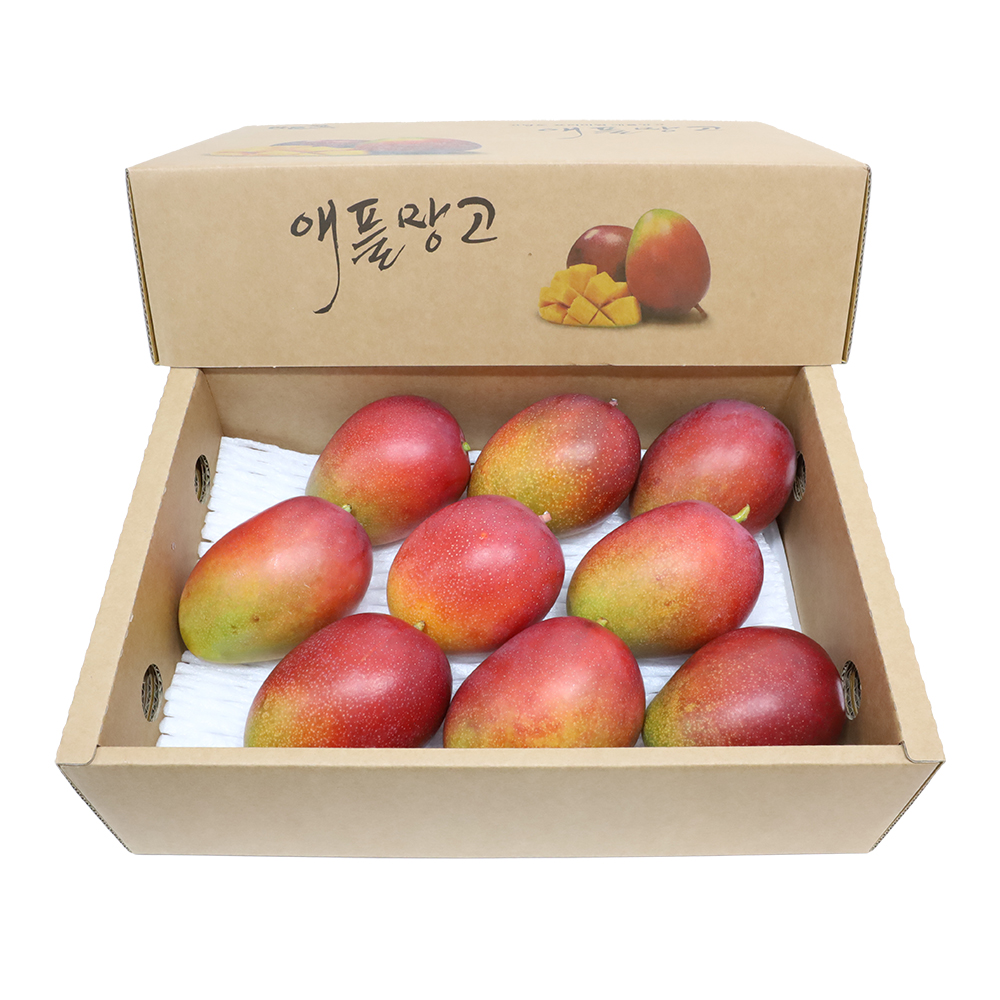 제주도 애플망고 선물세트 3kg