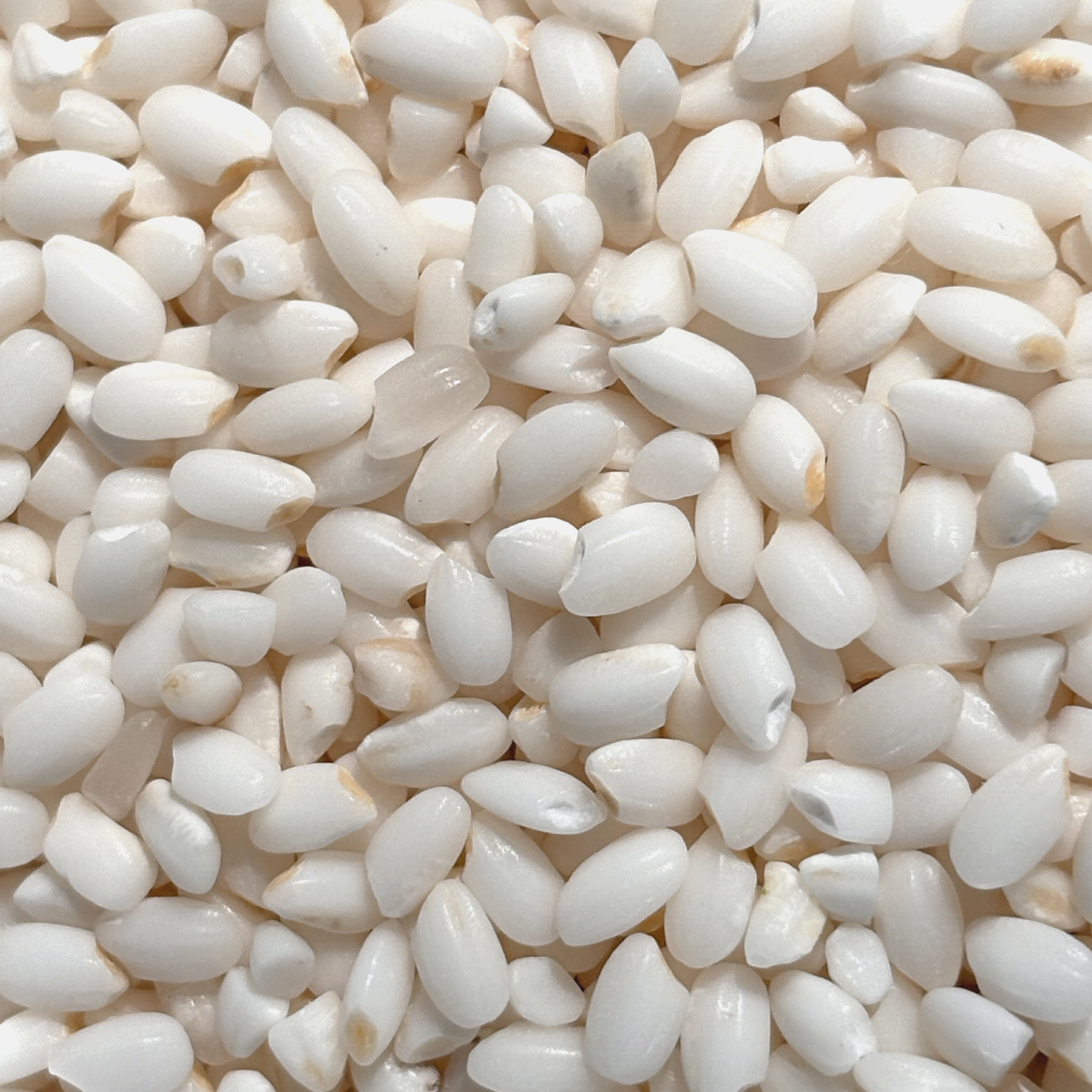 늘찬팜 국산 찹쌀 2kg - 상세 이미지 2