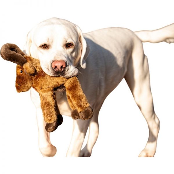Tailfin Sports Inc Premium Plush Major Moose Dog Toy : 그레이샵3