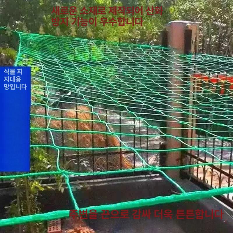 국화 호박 오이망 과수원 농자재 넝쿨 줄기망 사방포장90줄끈 1m 폭 1m 길이 - 상세 이미지 2