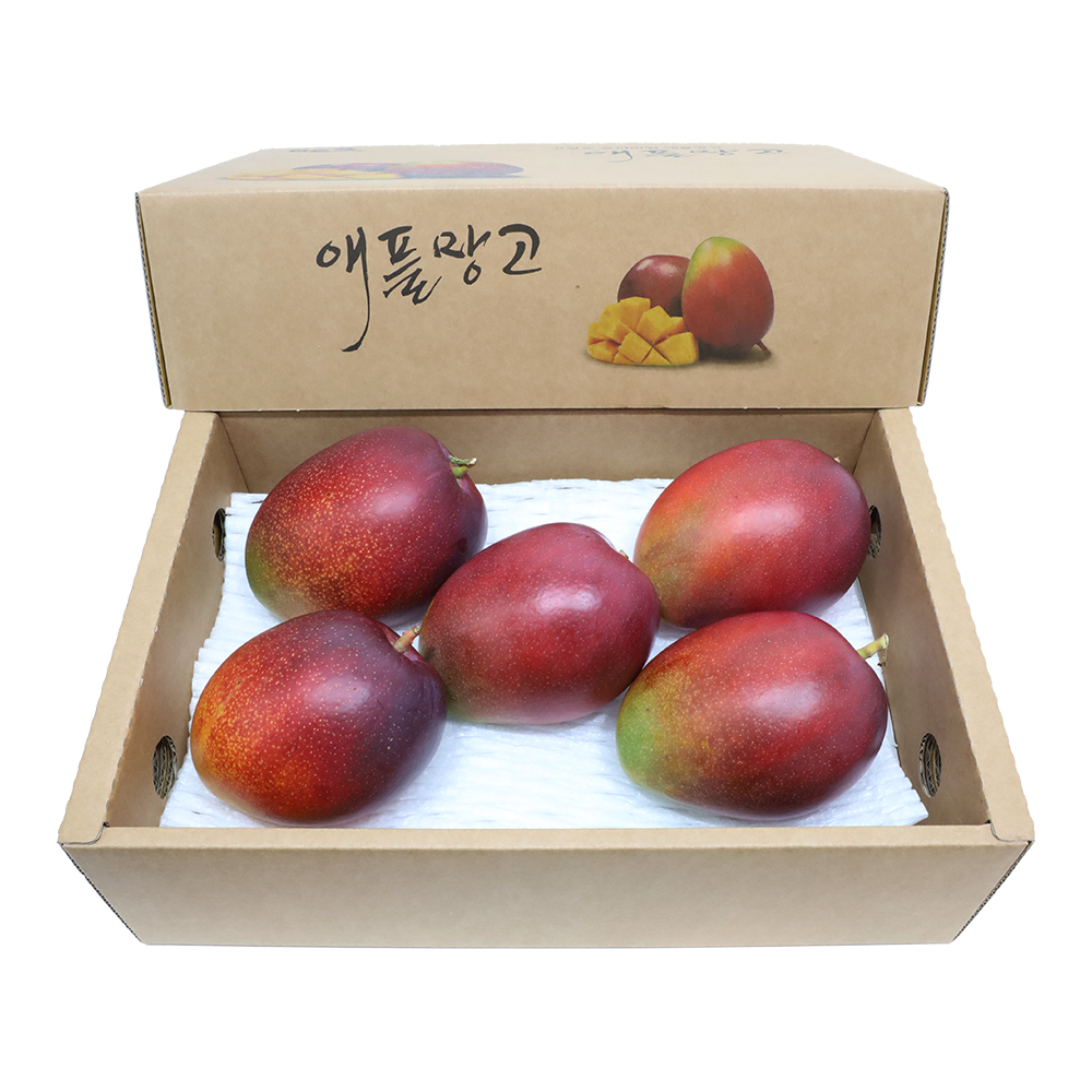 제주도 애플망고 선물세트 3kg 이미지 4