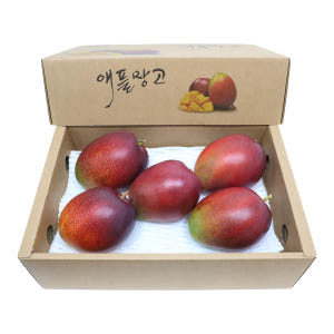 제주도 애플망고 선물세트 3kg 맛있게 먹은 솔직 후기 - 상품 이미지 4