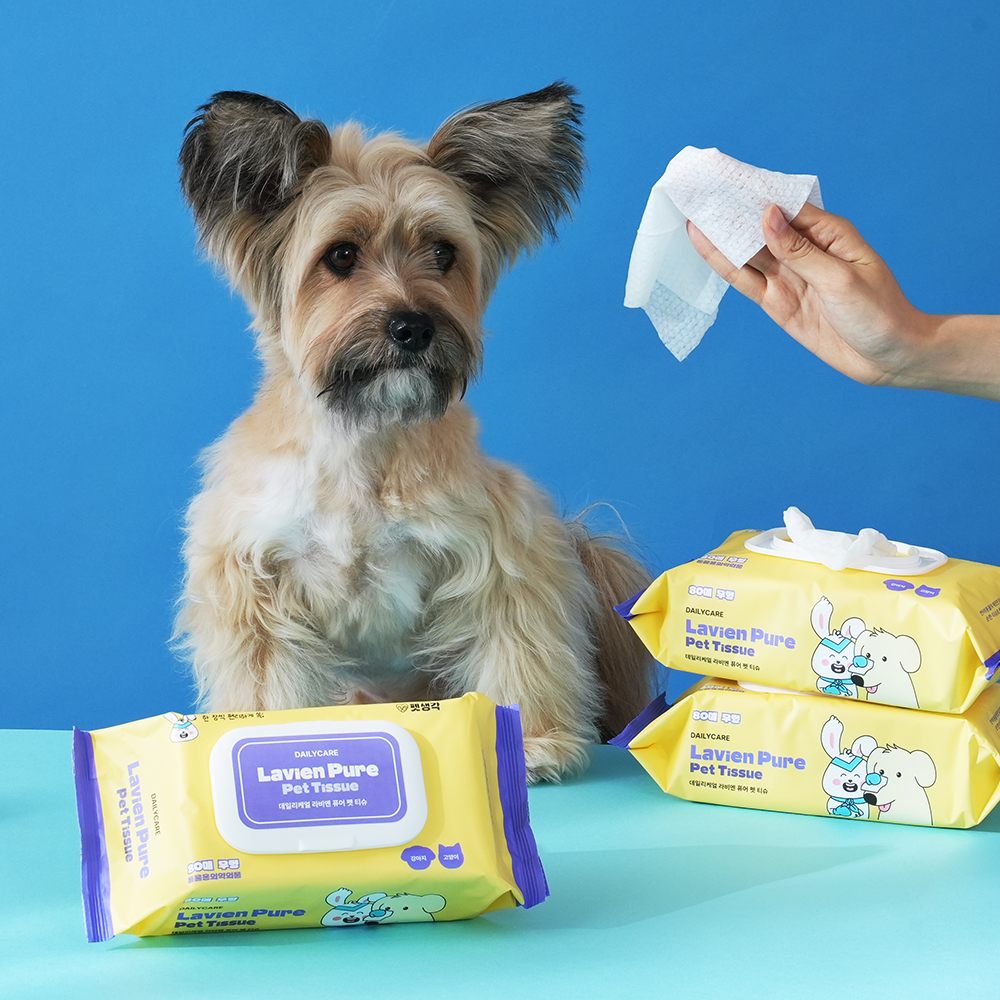 펫생각 도톰한 80매 6팩 고양이 강아지 물티슈 유기농 저자극 바디 애견 펫 티슈 엠보