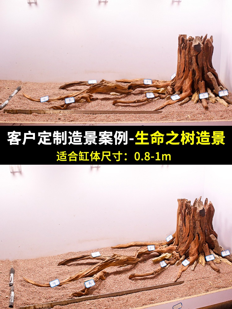 어항 꾸미기 나무 수족관 수조 관상어 물고기 은신처 - 상세 이미지 2