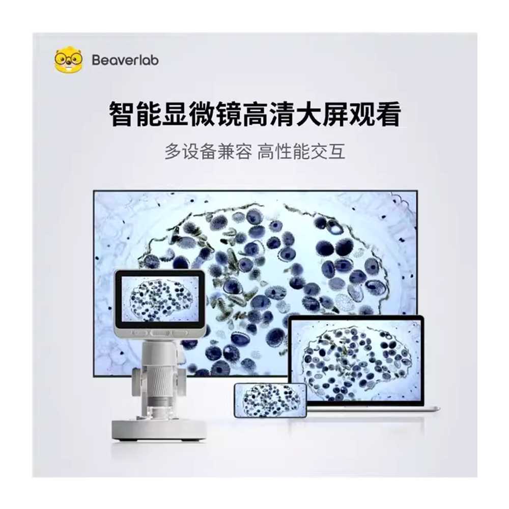 곰팡이 현미경 과학실 1200배 실험 휴대용 장비 도구 M2B 이미지 6
