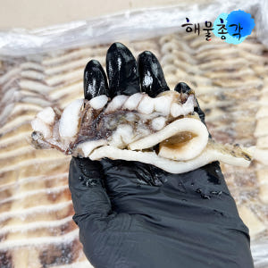 해물총각 오징어 냉동오징어 1박스 맛있게 먹은 솔직 후기 - 상품 이미지 3