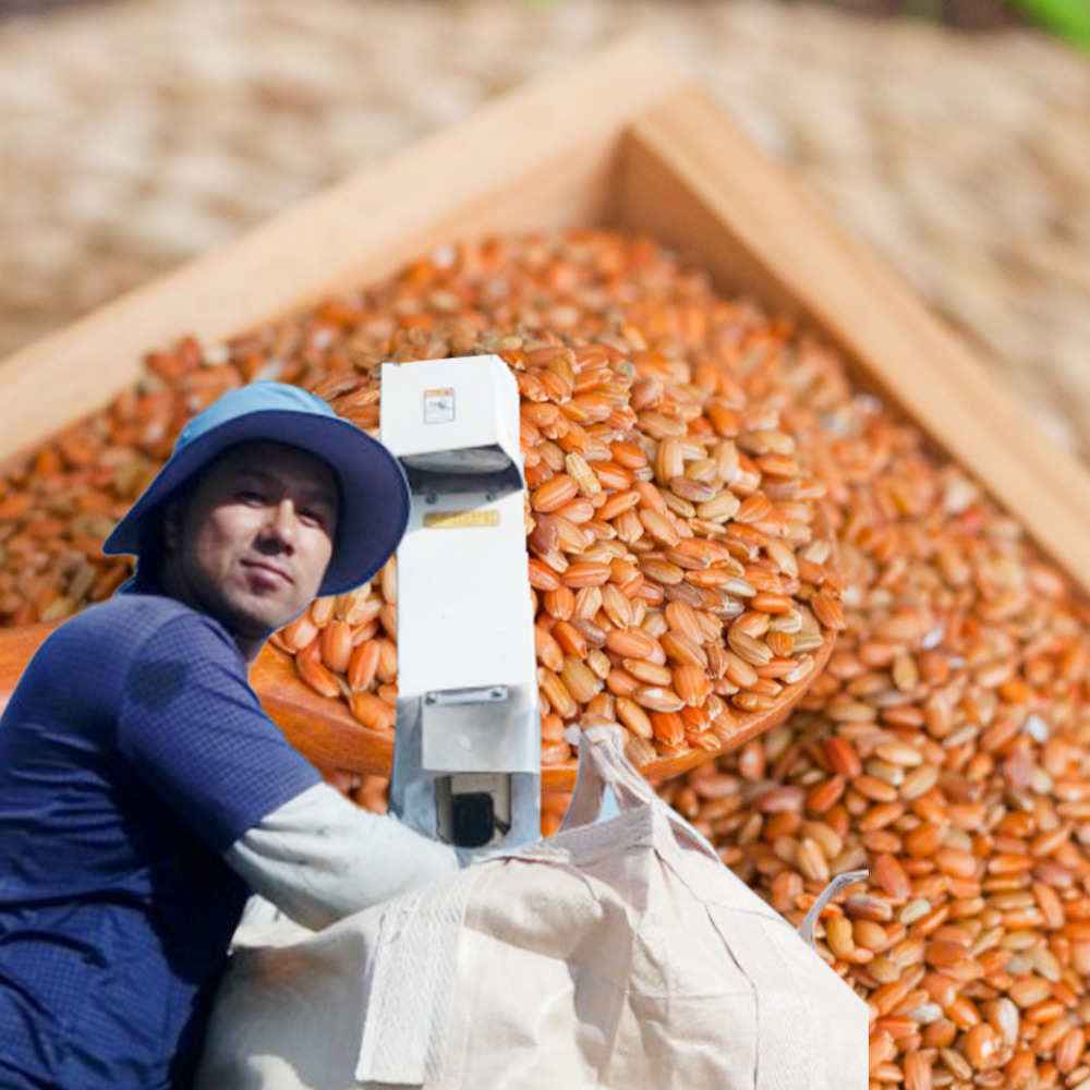 유기농 찰 홍미 가바쌀 적진주쌀 효능 국산 1kg 붉은쌀