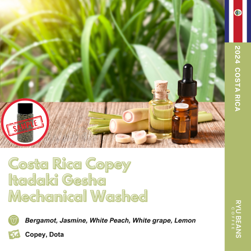 코스타리카 하시엔다코페이 이타다키 게샤 메케니컬 워시드