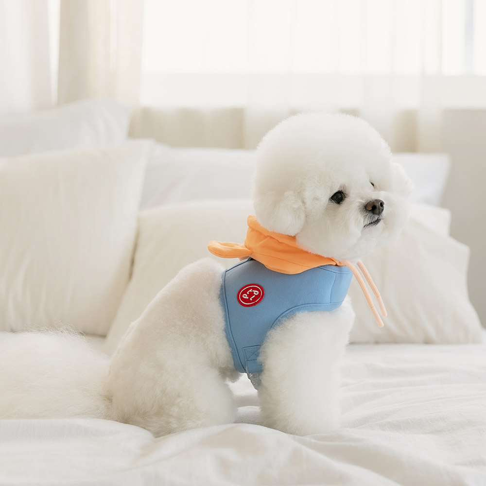 강아지 하네스옷 소형견 하네스 가슴줄 베어후드