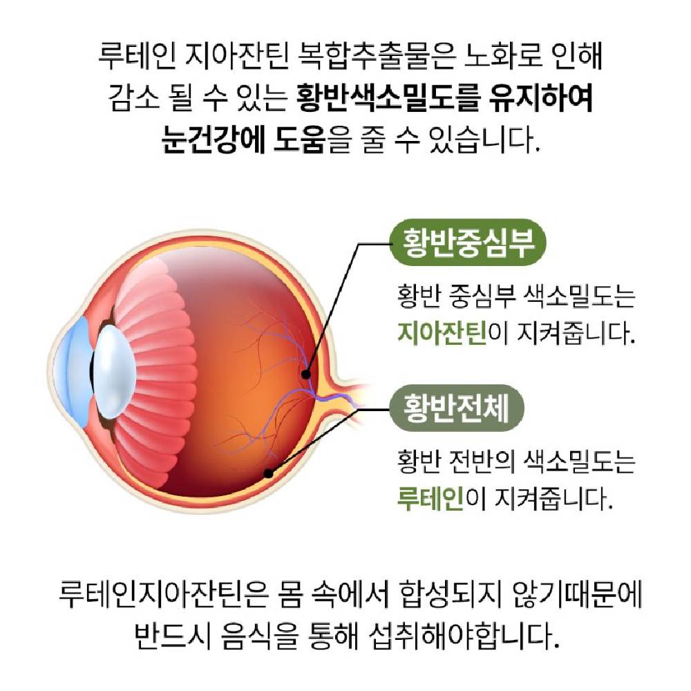 [웅진헬스원] 오직 멀티팩 종합비타민 미네랄 오메가3 루테인 하루1포(1개월분) - 상세 이미지 5