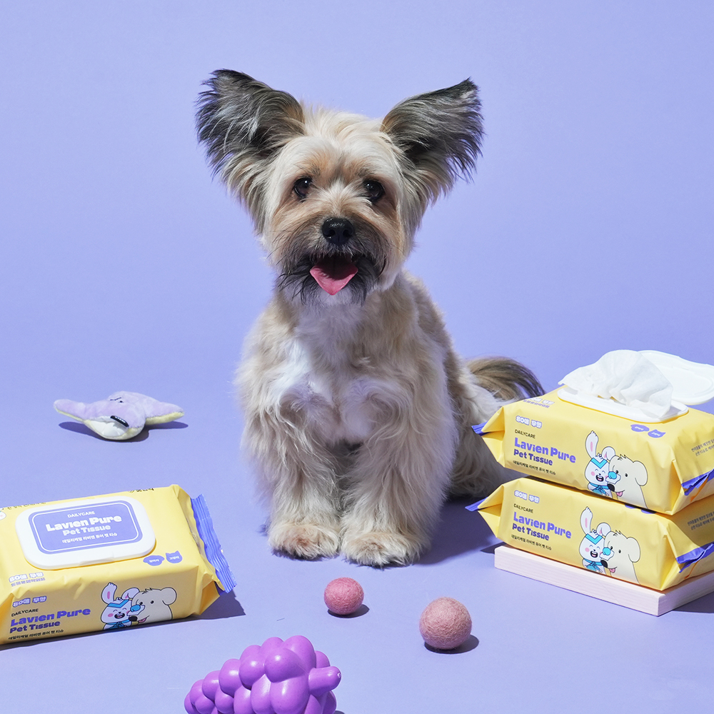펫생각 도톰한 80매 6팩 고양이 강아지 물티슈 유기농 저자극 바디 애견 펫 티슈 엠보