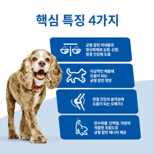 힐스 강아지사료 어덜트 11+ 스몰 앤 미니 2kg x 2개 솔직 후기 | 실제 사용자 리뷰 총정리 - 상품 이미지 3