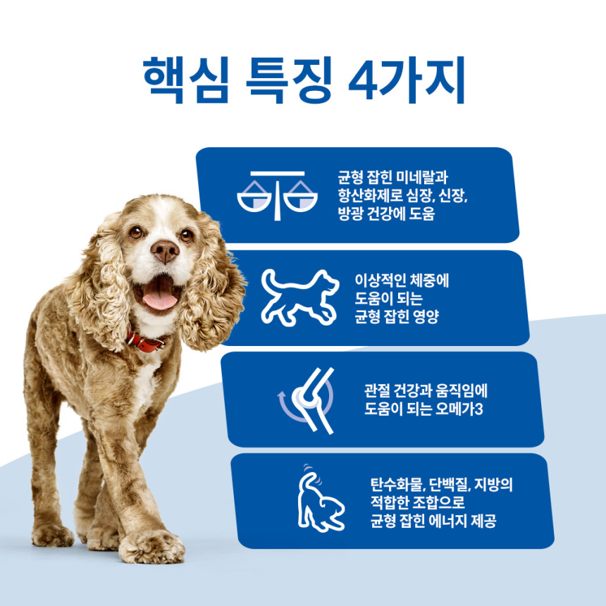 힐스 강아지사료 어덜트 11+ 스몰 앤 미니 2kg 사진 3
