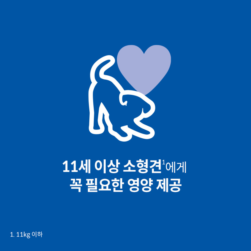 힐스 강아지사료 어덜트 11+ 스몰 앤 미니 2kg 사진 2