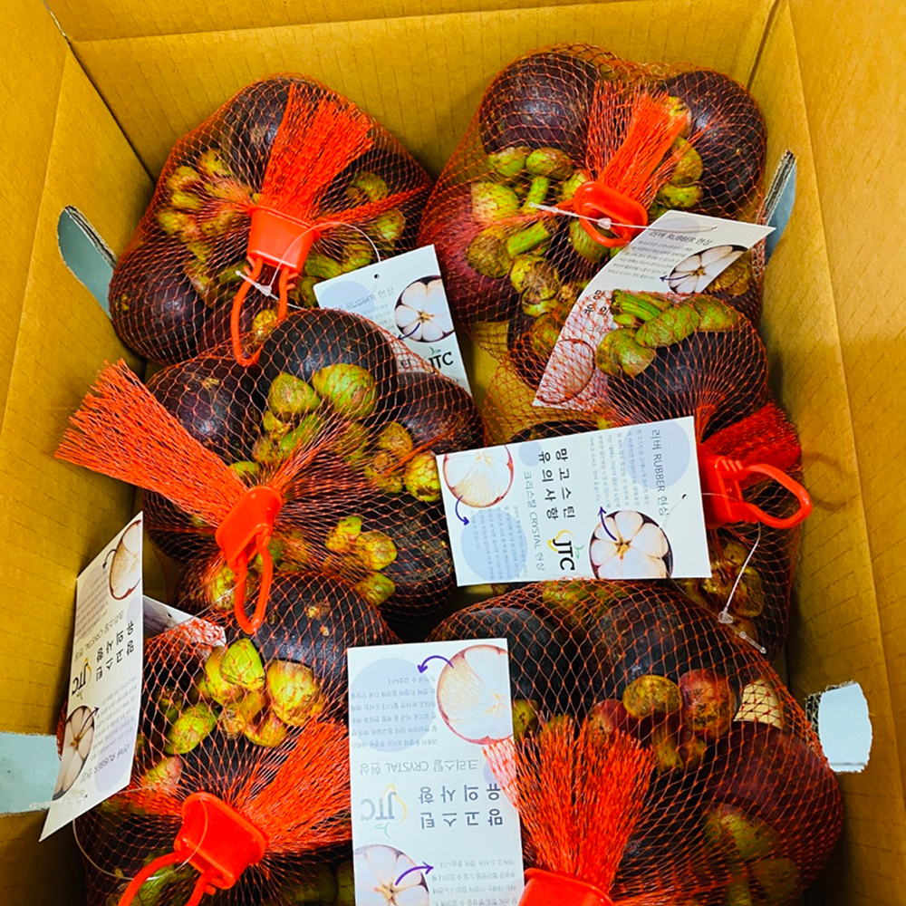 [금서율네] 생 망고스틴 생과 태국 나트랑 500g 1kg 2kg 5kg - 상세 이미지 3