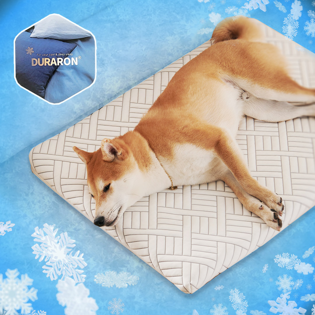 꽁떼떼 강아지 메모리폼 매트리스 쿠션 중대형견 침대 듀라론/화이트, M사이즈
