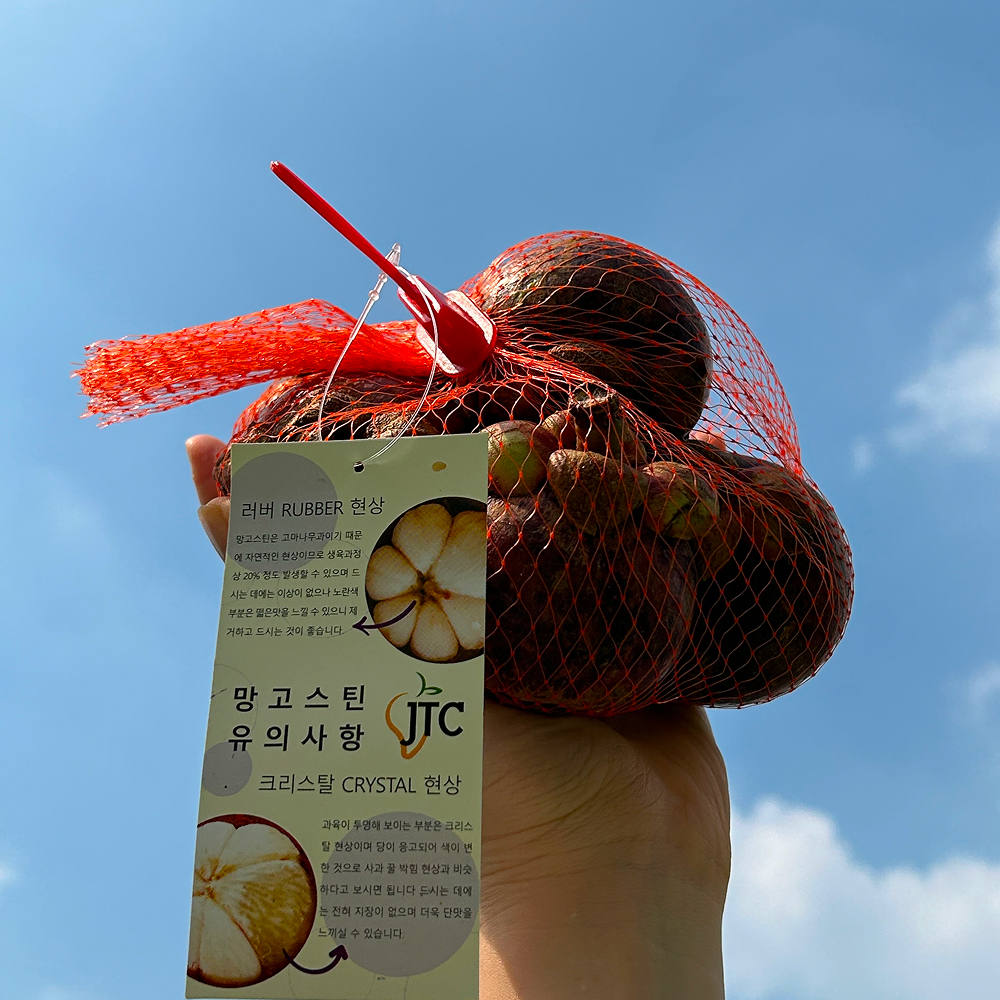 [금서율네] 생 망고스틴 생과 태국 나트랑 500g 1kg 2kg 5kg - 상세 이미지 2