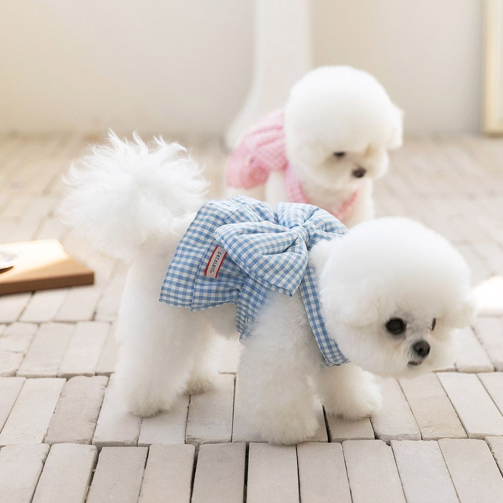 강아지 하네스옷 소형견 하네스 가슴줄 리보네