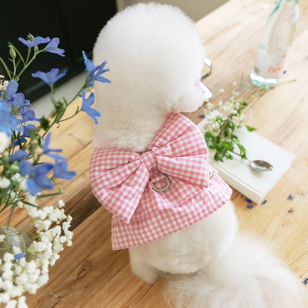 강아지 하네스옷 소형견 하네스 가슴줄 리보네