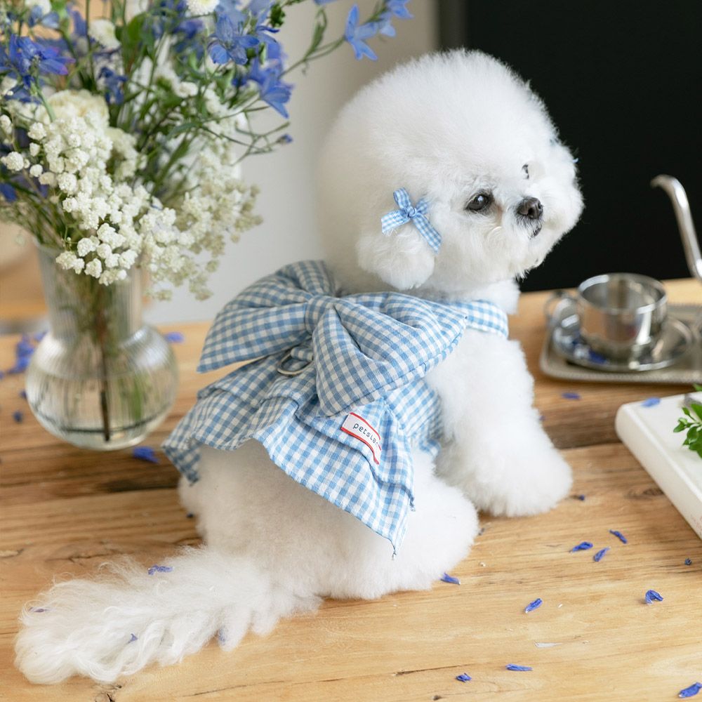 강아지 하네스옷 소형견 하네스 가슴줄 리보네