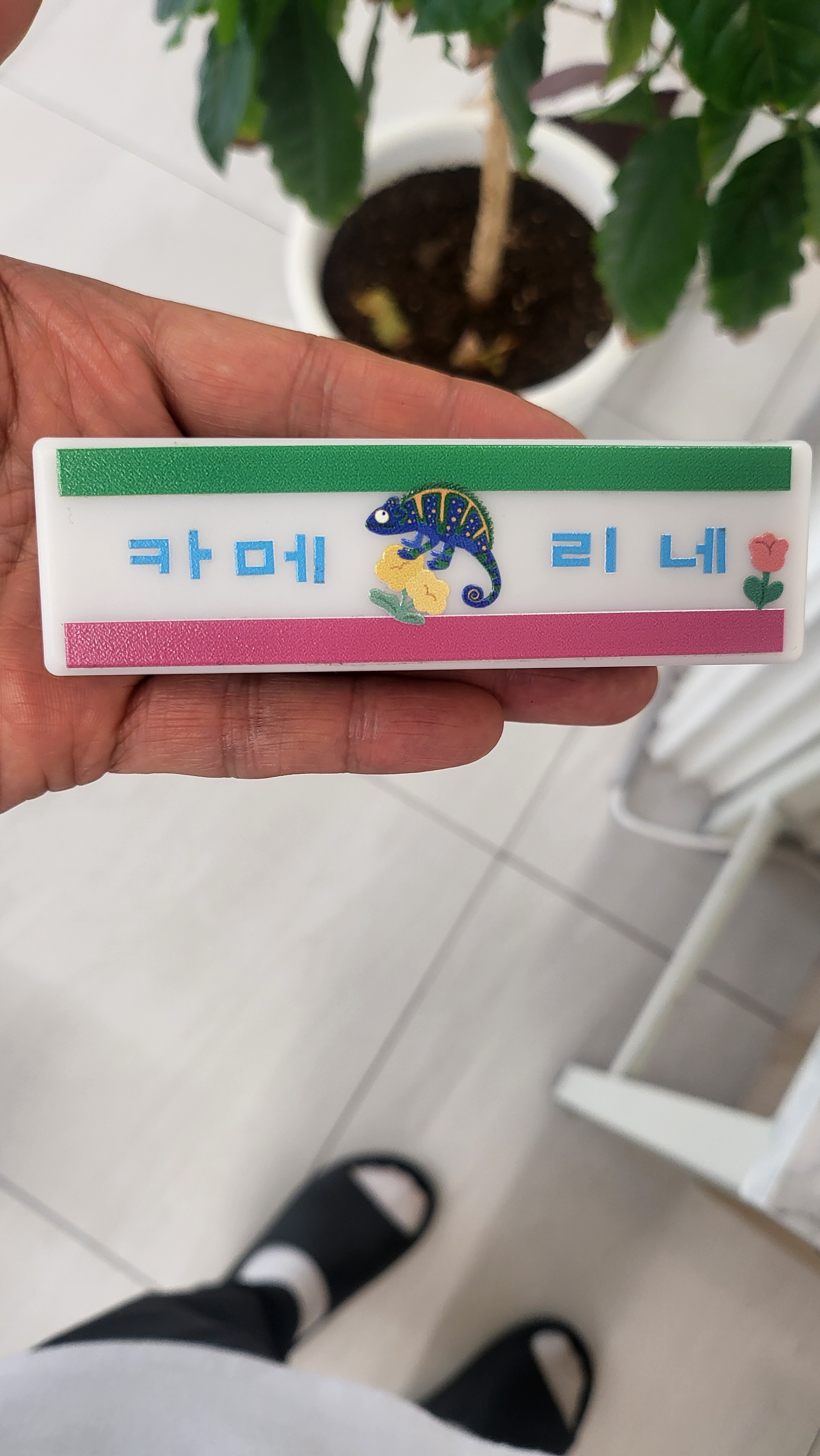 사육장꾸미기 카메리네간판 크레스티드게코 도마뱀 이름표 용품 소동물 도마뱀키우기 햄스터 - 상세 이미지 3