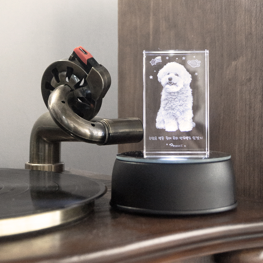 강아지 고양이 추모함 유골함 꾸미기 추모용품 메모리얼스톤 펫타스틱 하랑별펫 이미지 4