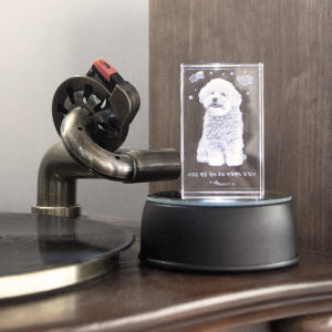 강아지 고양이 추모함 유골함 꾸미기 추모용품 메모리얼스톤 펫타스틱 하랑별... 솔직 후기 | 실제 사용자 리뷰 총정리 - 상품 이미지 4