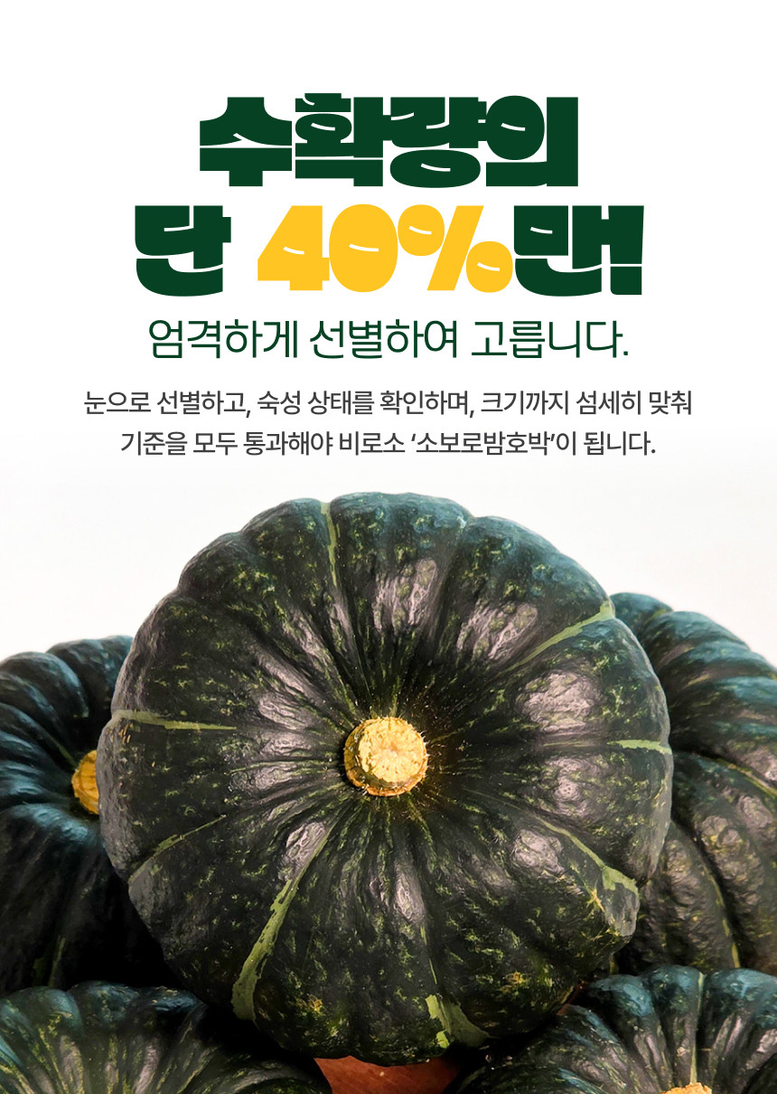 250612_qgq_12.jpg