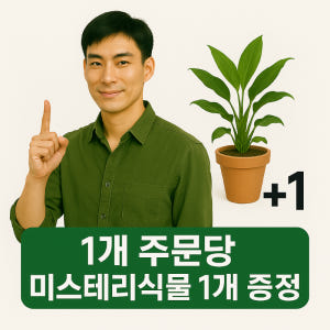 청페페 새집증후군완화 페페로미아 거실 음지 그늘 키우기 쉬운 실내공기정화... 실사용 후기 | 효과 있을까? - 상품 이미지 4