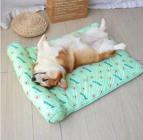 강아지매트 방수 미끄럼방지 고양이 소형견 반려 쿨 애견매트 - 상품 이미지