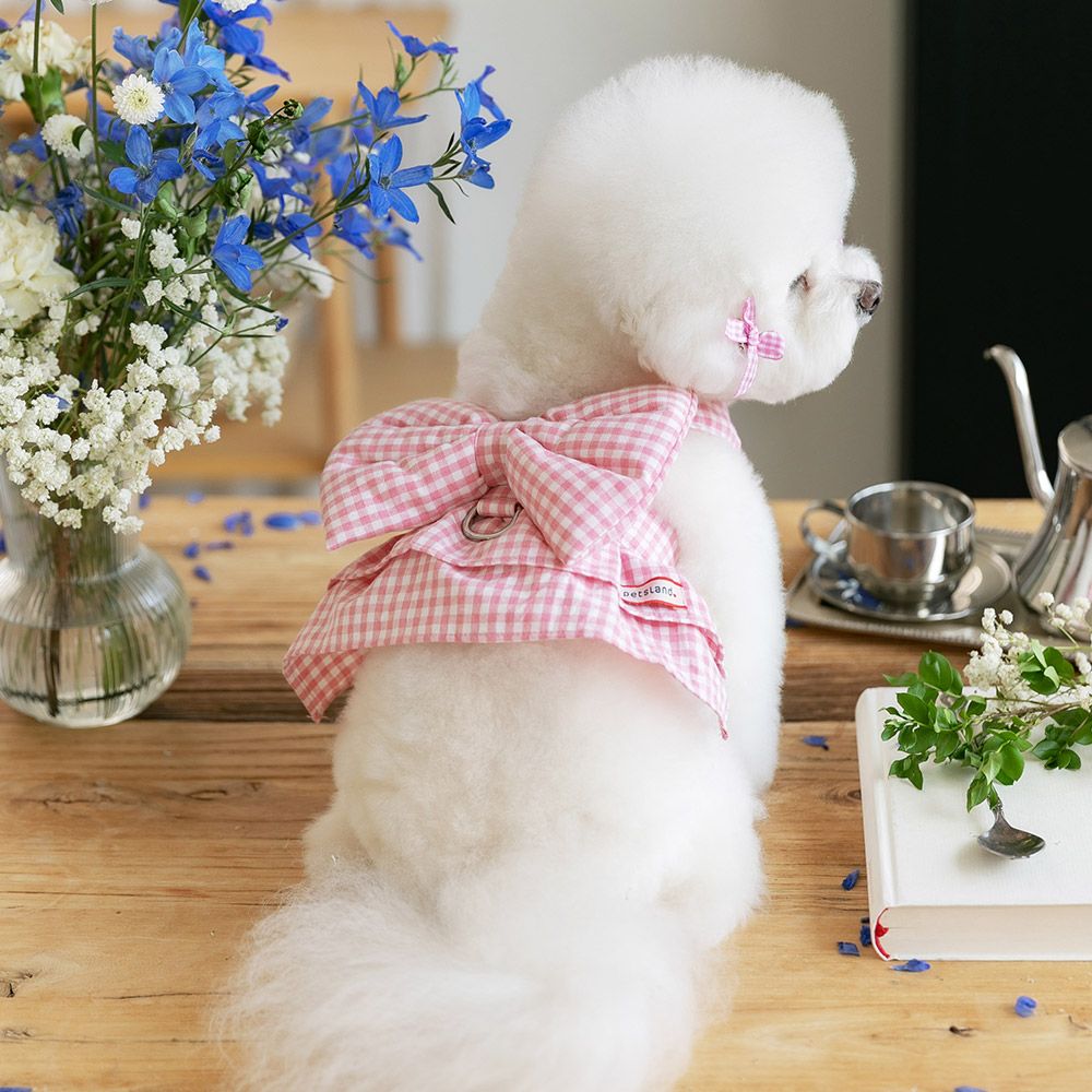 강아지 하네스옷 소형견 하네스 가슴줄 리보네