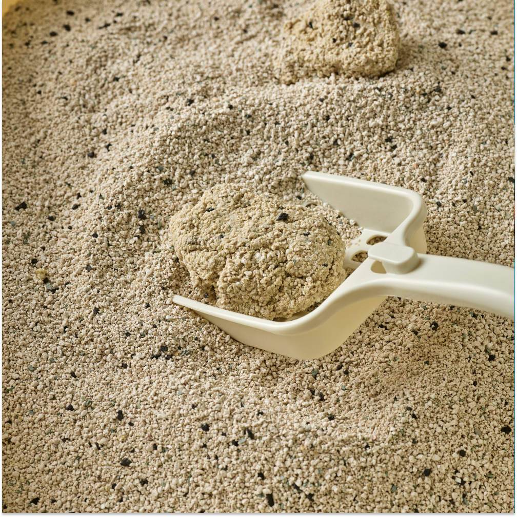 포우장 고양이모래 대용량 벤토나이트 먼지없는 고양이화장실 다묘 무향 12kg