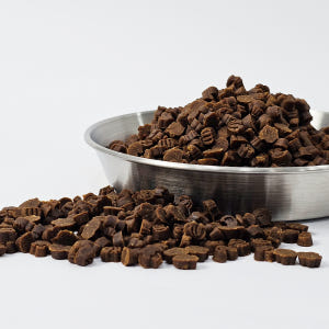 페노비스 강아지 가수분해 알러지 눈물 사료 바이탈코어 시니어, 1kg, ... 솔직 후기 | 실제 사용자 리뷰 총정리 - 상품 이미지 4