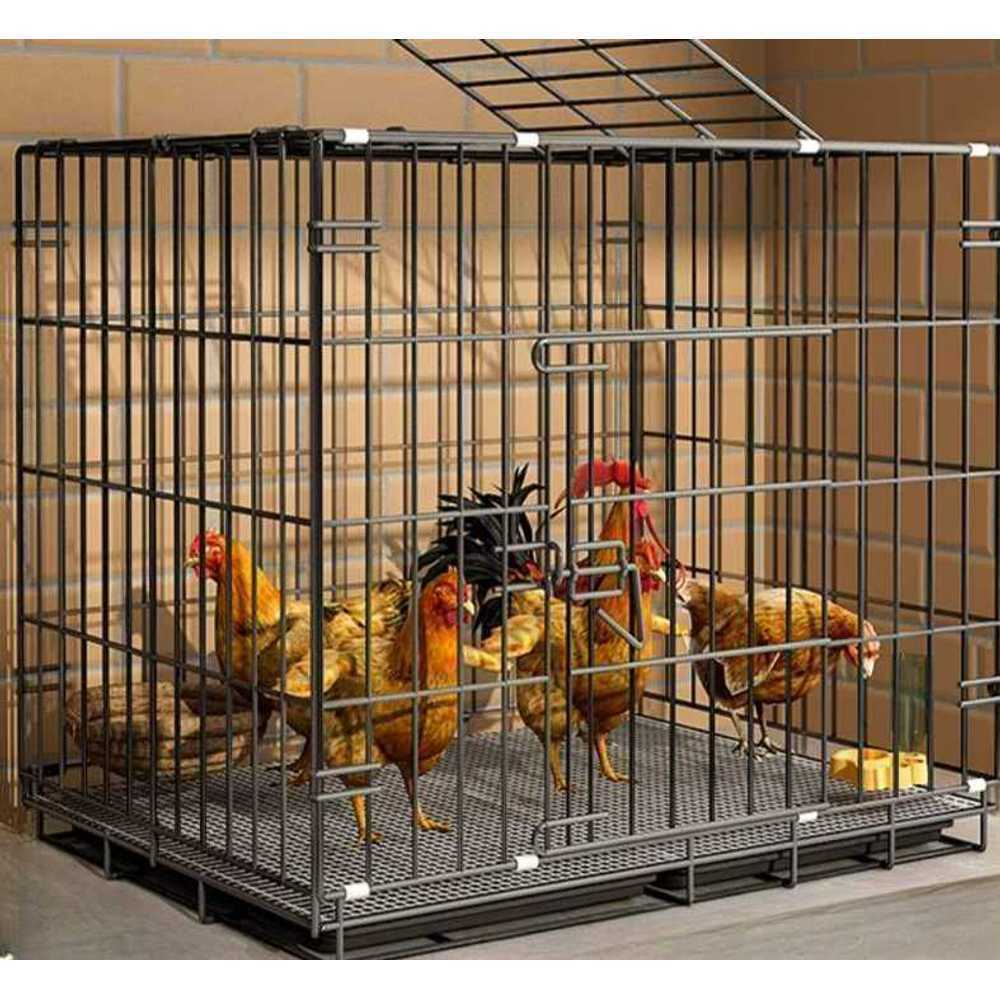 닭 케이지 사육장 야외 마당 오리 둥지 가금류 하우스 85x60x70 - 상품 이미지