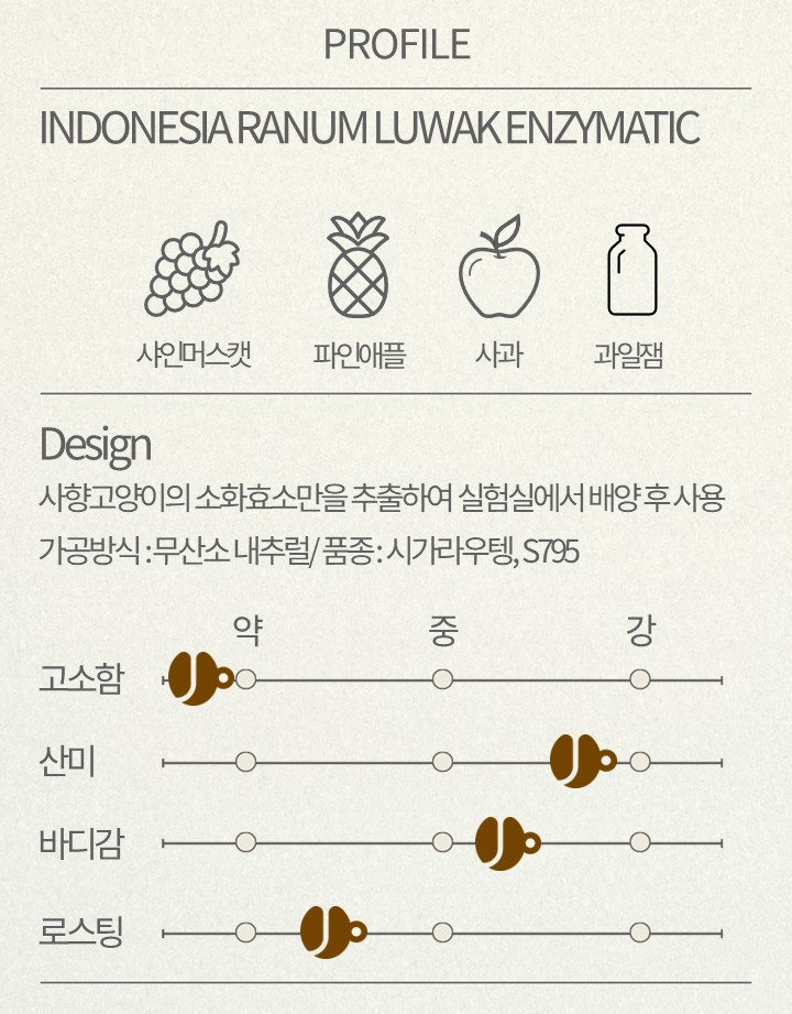 (드립백 3개/5개) ﻿인도네시아 라눔 루왁 효소 발효 (INDONESIA RANUM LUWAK ENZYMATIC) / 인도네시커피 - 상세 이미지 2
