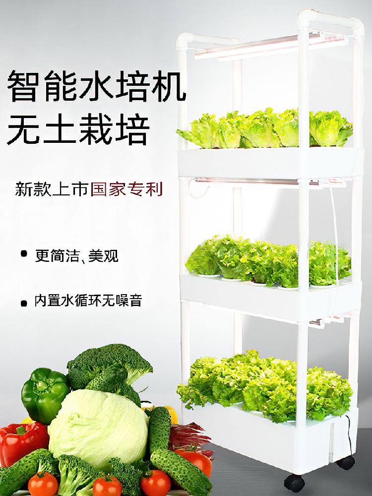 산소 나무 삽목기 꺾꽂이 대량 산소삽목기 텃밭 번식 재배 육묘 - 상세 이미지 3