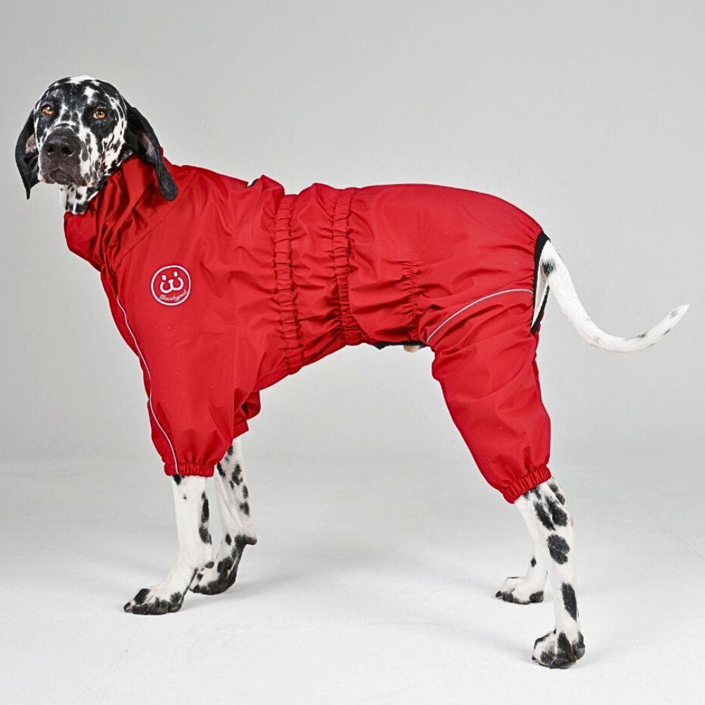 강아지 우디펫 올인원 우비 레인코트  방수 방풍 방충 사계절 산책 등산 캠핑