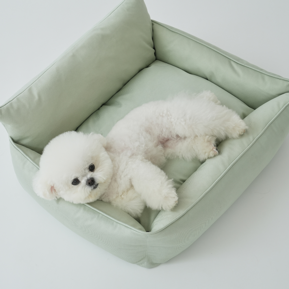 강아지 방석 고양이 쿠션 애견 여름 꿀잠 마약 반려견 방석 펫 등받이 M 펫앤마마