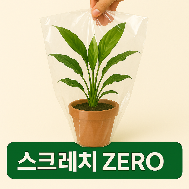 스파트필름 그늘 음지 거실 키우기 실내공기정화식물 수경재배 스파티 쉬운