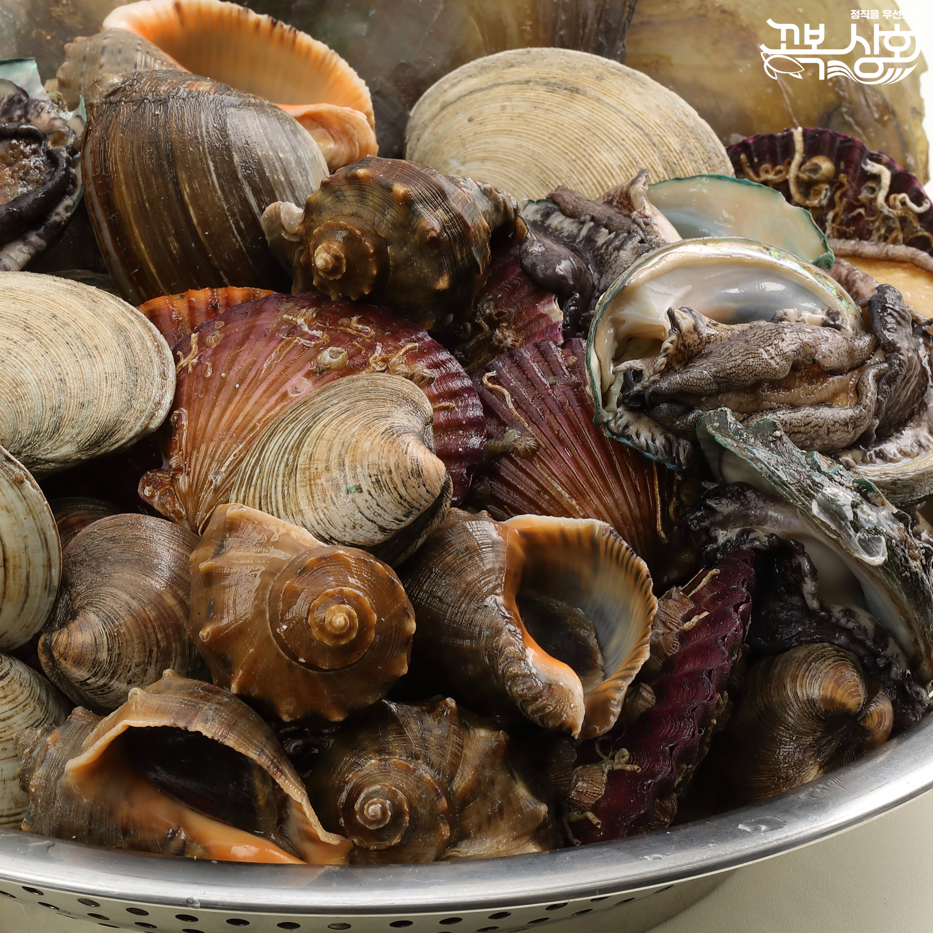조개모듬 제철 조개구이 찜 캠핑 밀키트 원하는 대로 세트 [꼬복상회]