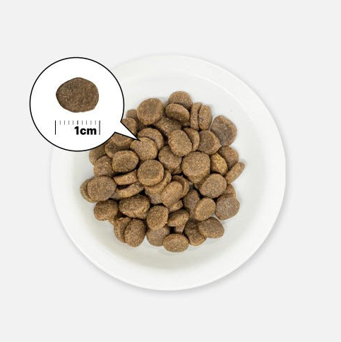 아카나 요크셔포크 6kg+간식+소분봉투 - 상세 이미지 2